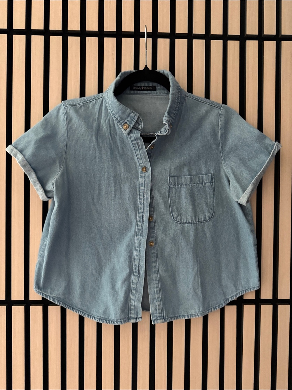 Brandy Melville Light Blue Short-Sleeve crop Denim Button-Down